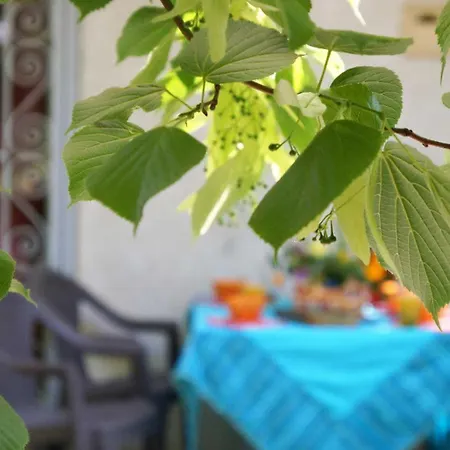 Ferienhaus Le Tilleul Du Parc De La Dame Latour-Bas-Elne