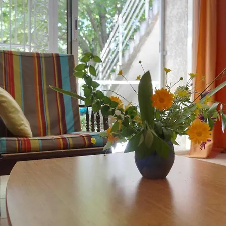 Le Tilleul Du Parc De La Dame *