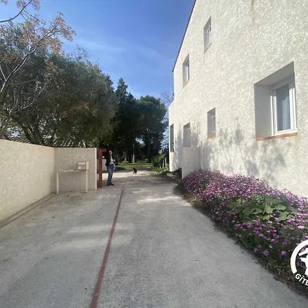 Le Tilleul Du Parc De La Dame *