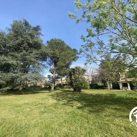 Le Tilleul Du Parc De La Dame